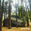 Love Is Free - Arising - Single